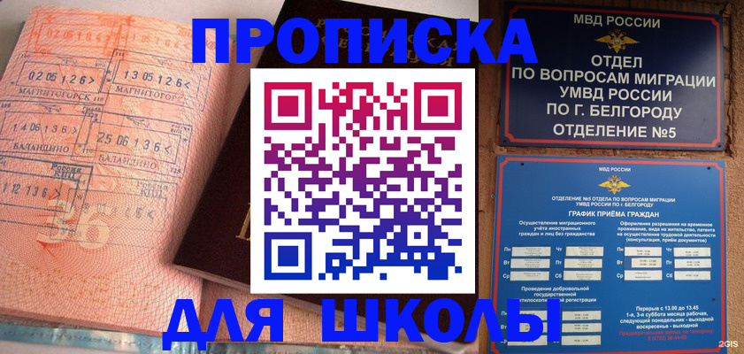 прописка иностранных граждан в Вельске